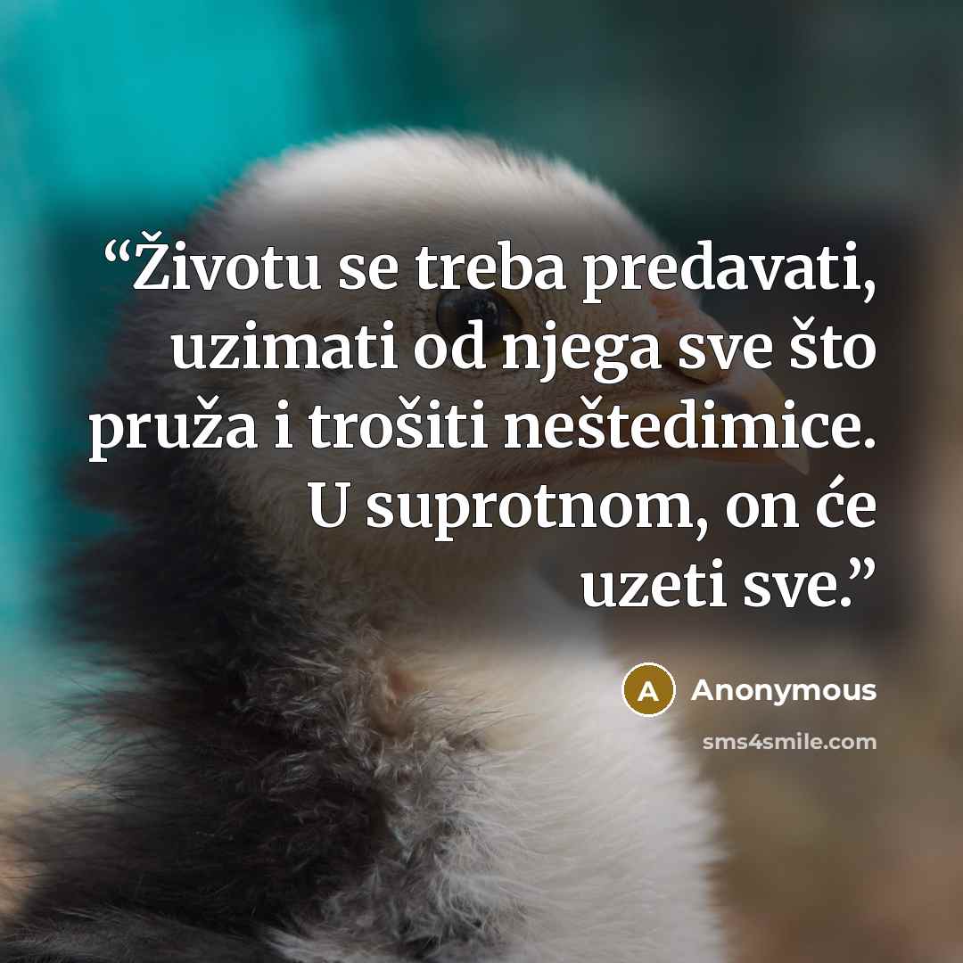 “Životu se treba predavati, uzimati od njega sve što pruža i trošiti neštedimice. U suprotnom, on će uzeti sve.” quote by Anonymous