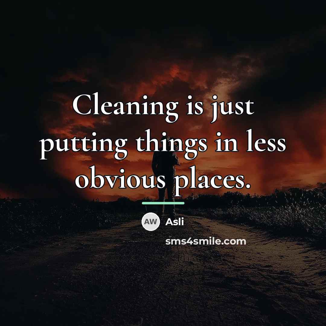 “Cleaning is just putting things in less obvious places.…” quote by Asli