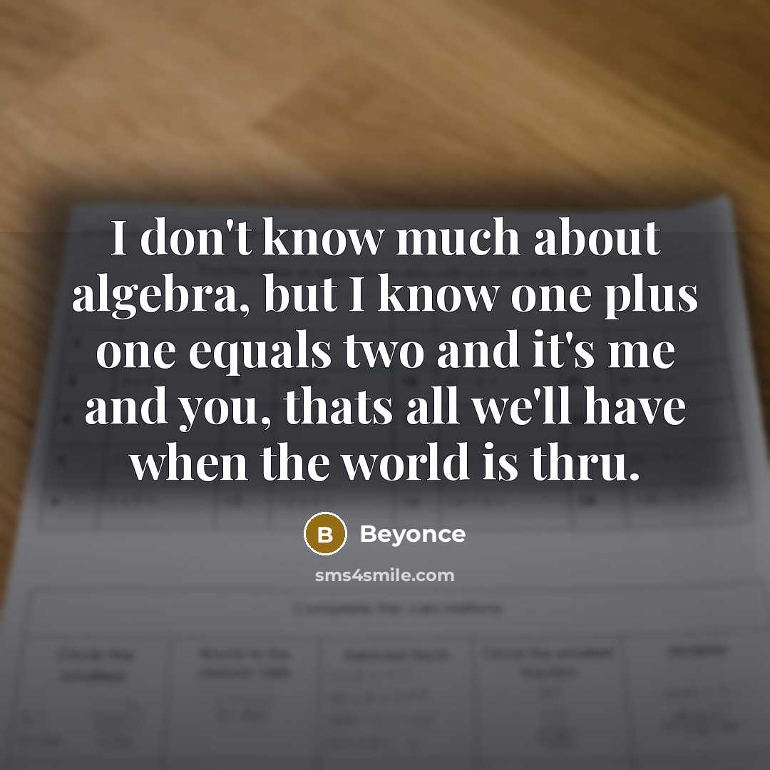 “I don't know much about algebra, but I know one…” quote by Beyonce