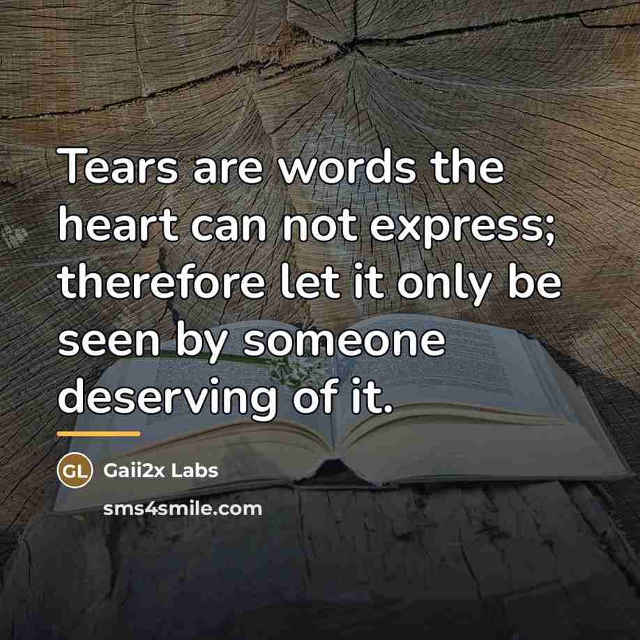 “Tears are words the heart can not express; therefore let…” quote by Gaii2x Labs