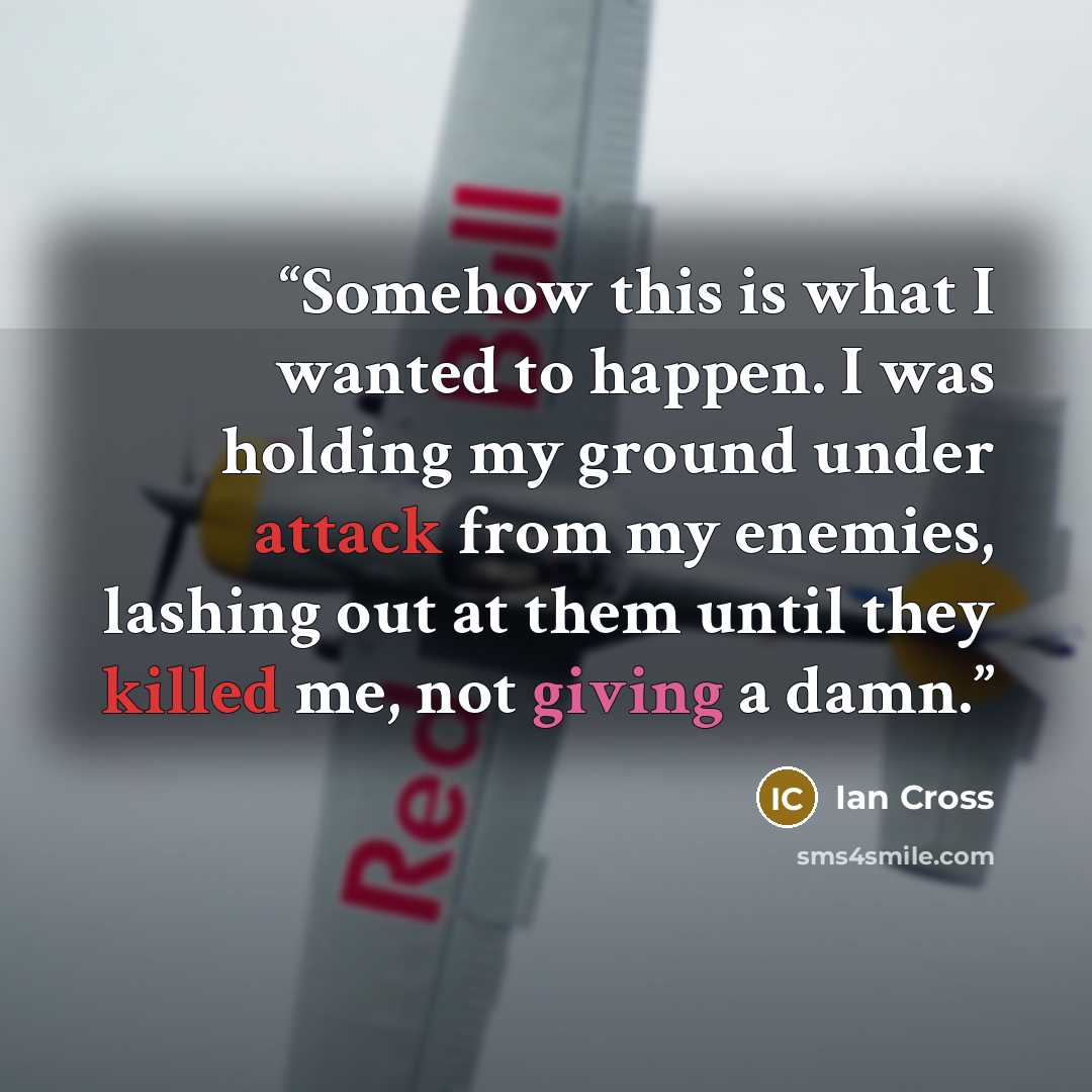 “Somehow this is what I wanted to happen. I was holding my ground under attack from my enemies, lashing out at them until they killed me, not giving a damn.” quote by Ian Cross