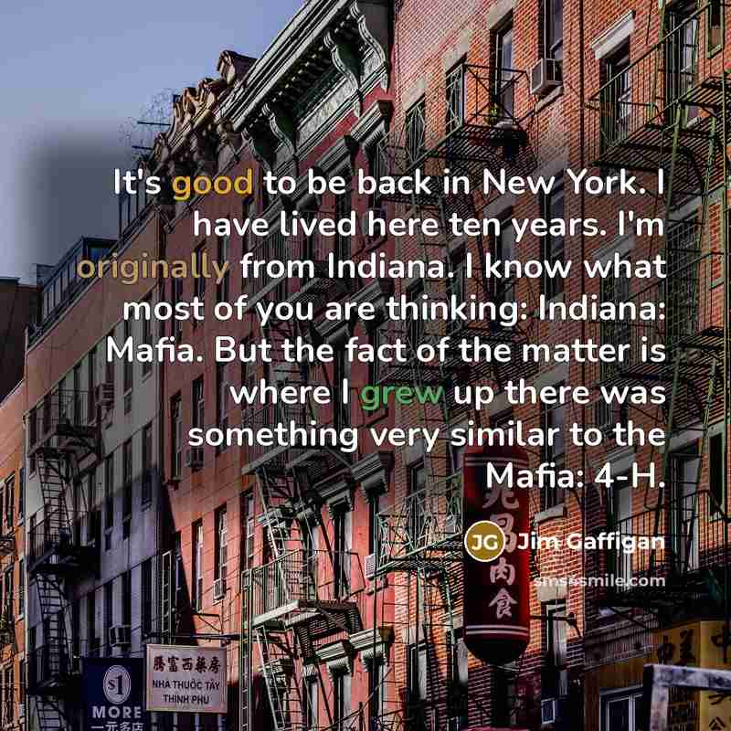 “It's good to be back in New York. I have…” quote by Jim Gaffigan