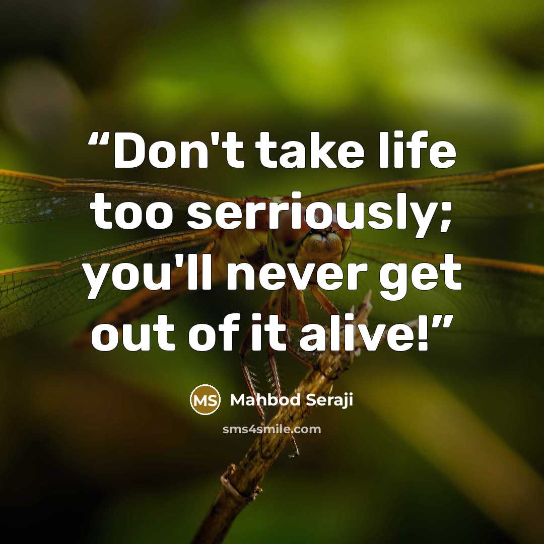 “Don't take life too serriously; you'll never get out of it alive!” quote by Mahbod Seraji