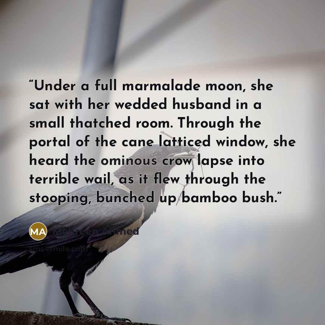 “Under a full marmalade moon, she sat with her wedded husband in a small thatched room. Through the portal of the cane latticed window, she heard the ominous crow lapse into terrible wail, as it flew through the stooping, bunched up bamboo bush.” quote by Mehreen Ahmed