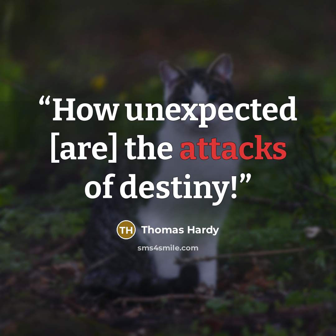 “How unexpected [are] the attacks of destiny!” quote by Thomas Hardy