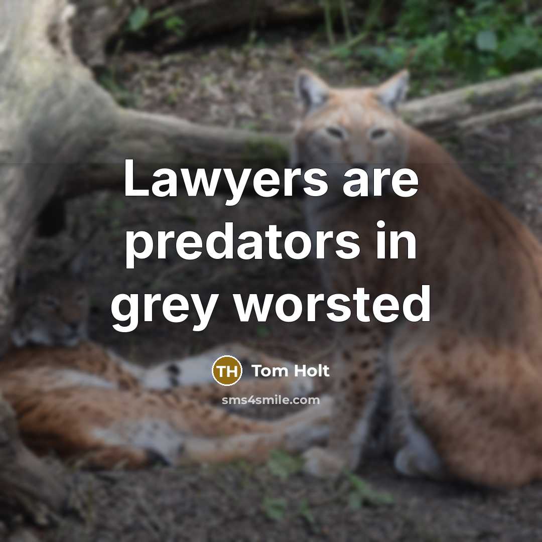 “Lawyers are predators in grey worsted…” quote by Tom Holt