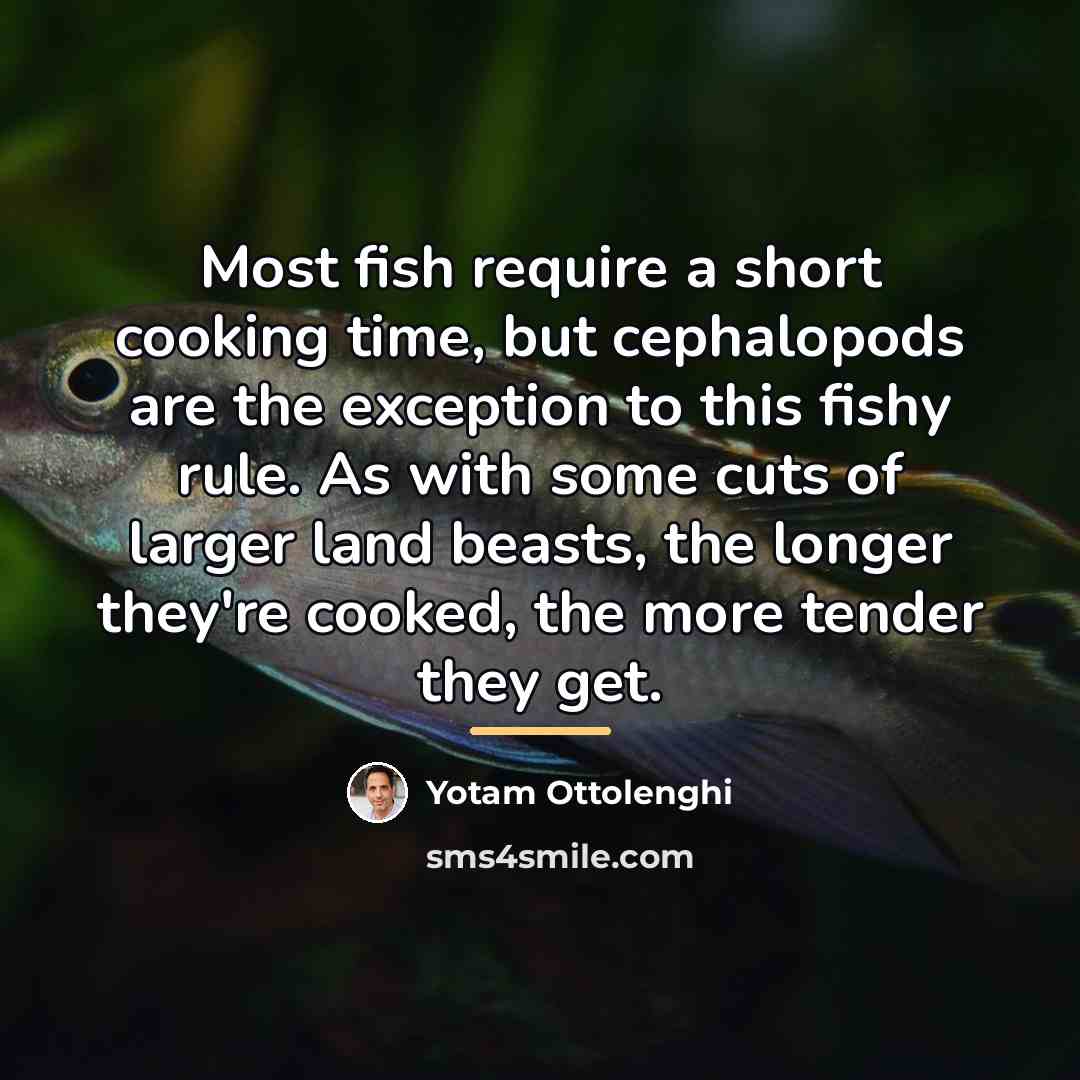 “Most fish require a short cooking time, but cephalopods are…” quote by Yotam Ottolenghi
