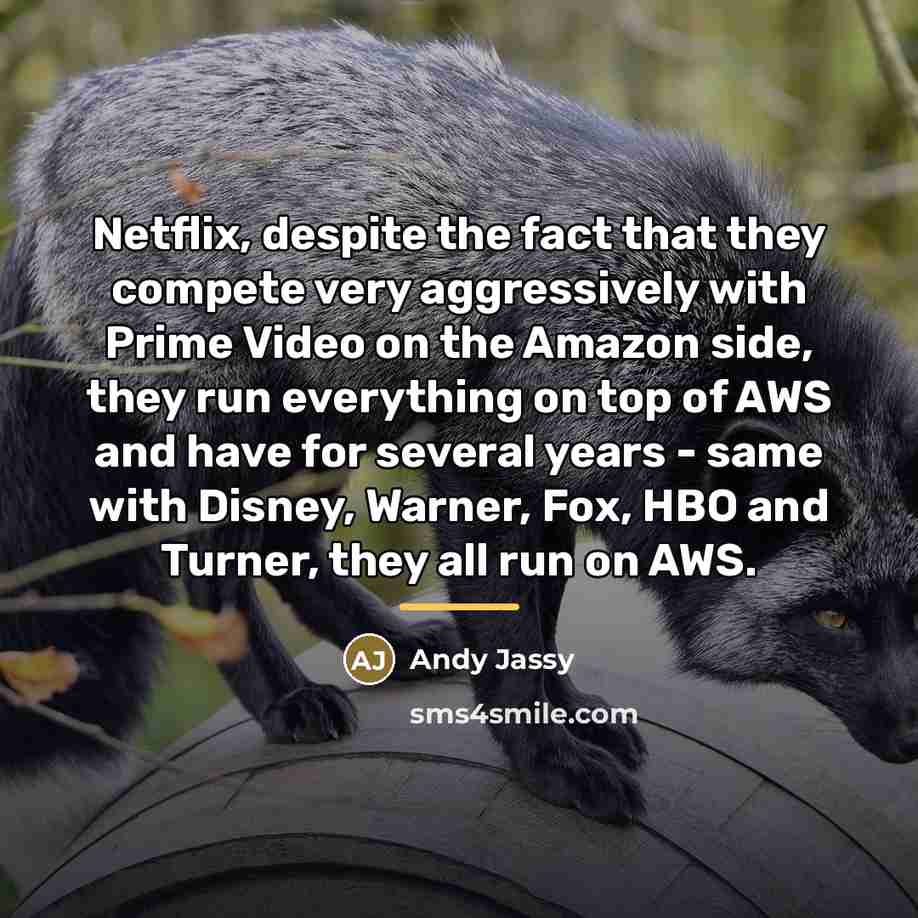 “Netflix, despite the fact that they compete very aggressively with…” quote by Andy Jassy