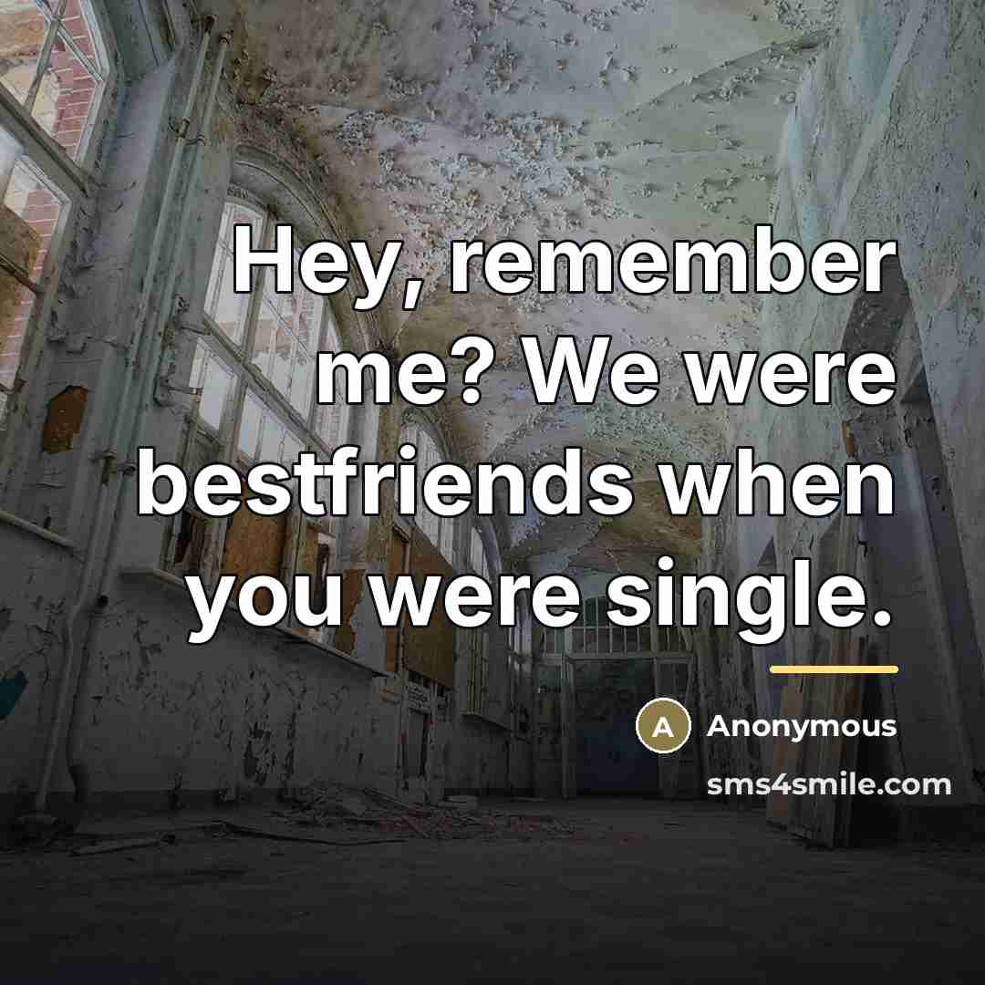 “Hey, remember me? We were bestfriends when you were single.…” quote by Anonymous
