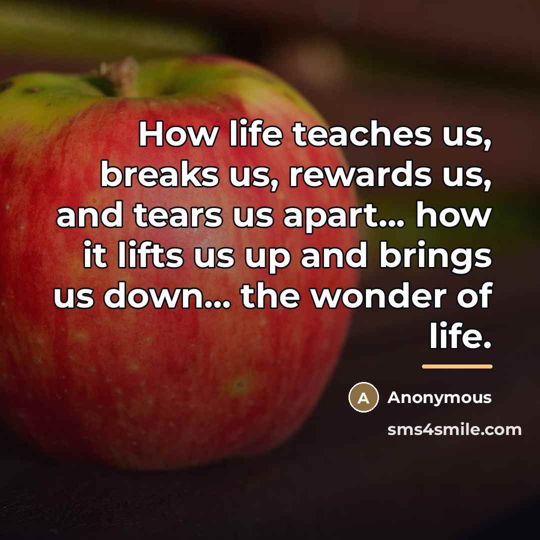 “How life teaches us, breaks us, rewards us, and tears…” quote by Anonymous