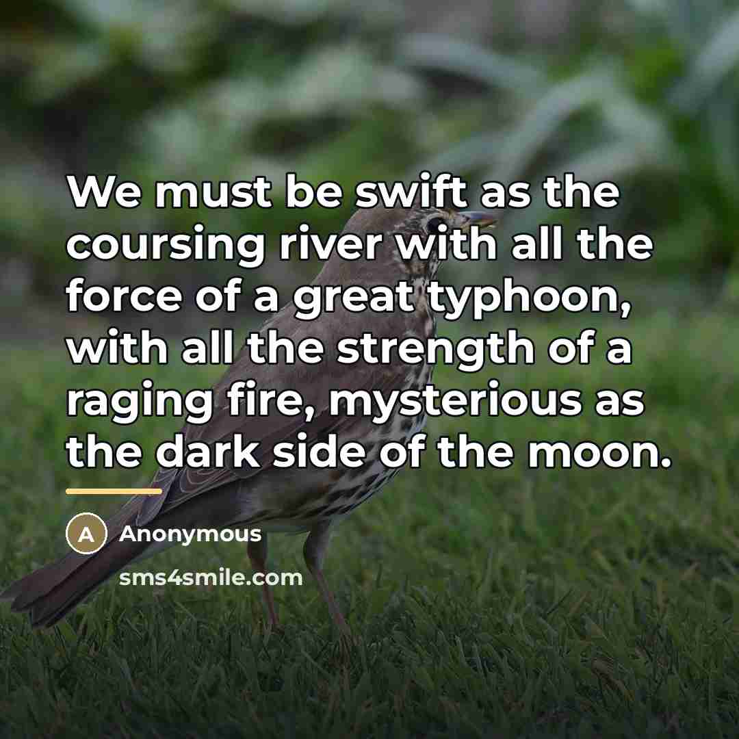“We must be swift as the coursing river with all…” quote by Anonymous