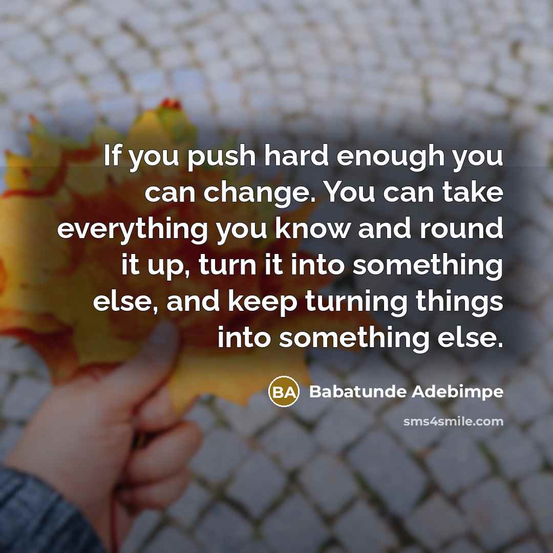 “If you push hard enough you can change. You can…” quote by Babatunde Adebimpe