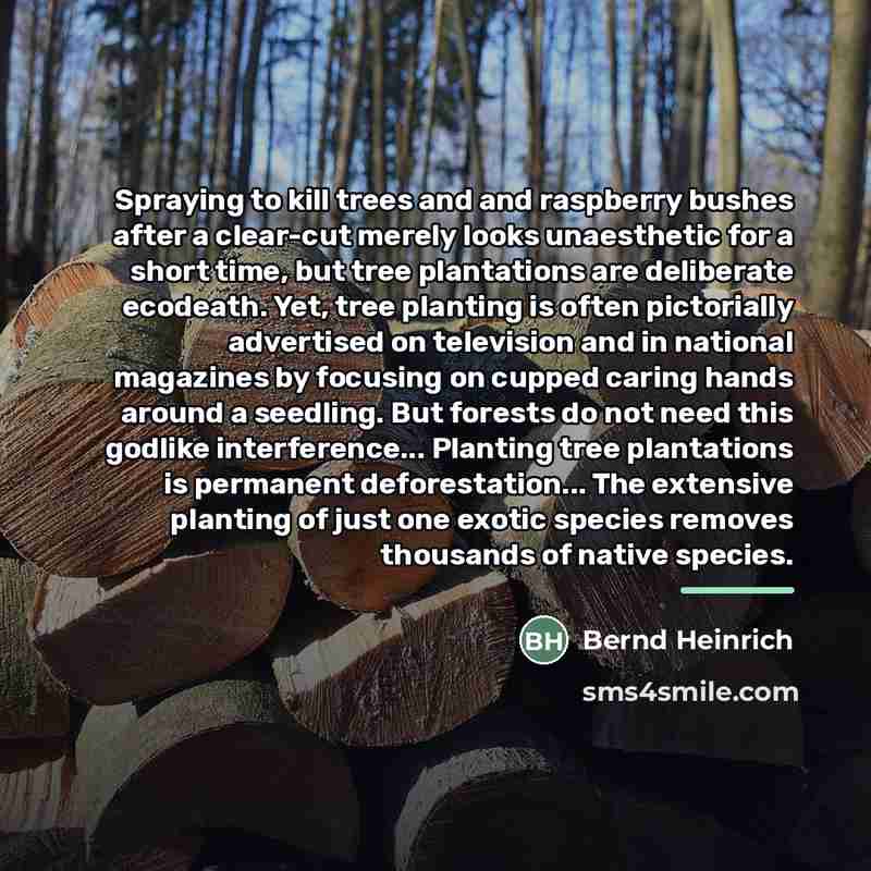 “Spraying to kill trees and and raspberry bushes after a…” quote by Bernd Heinrich