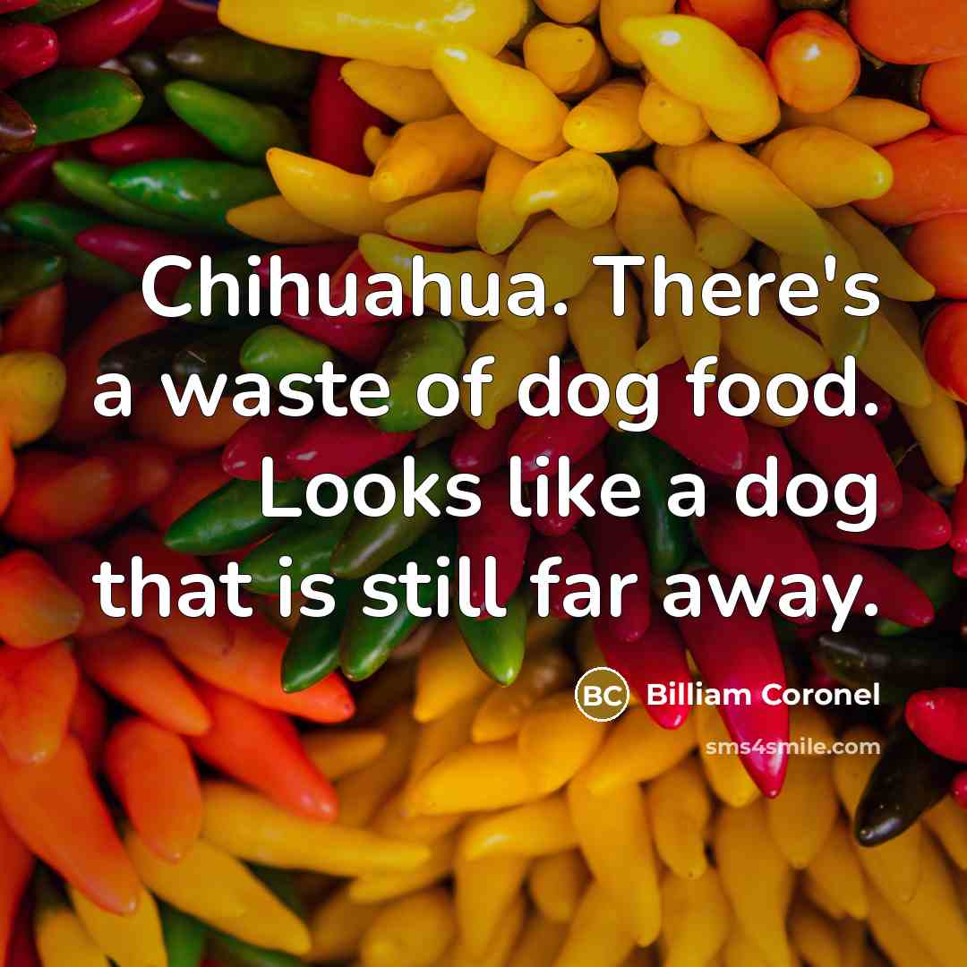 “Chihuahua. There's a waste of dog food. Looks like a dog that is still far away.” quote by Billiam Coronel
