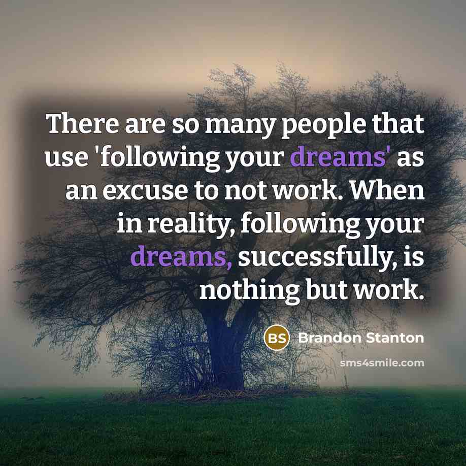 “There are so many people that use 'following your dreams'…” quote by Brandon Stanton