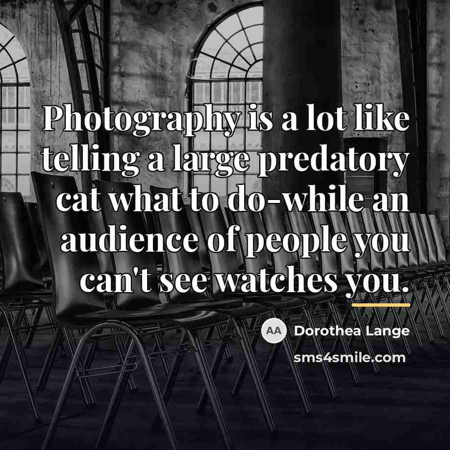 “Photography is a lot like telling a large predatory cat…” quote by Dorothea Lange