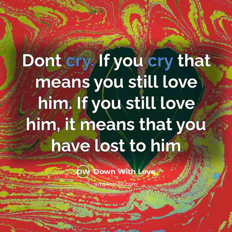 “Dont cry. If you cry that means you still love…” quote by Down With Love