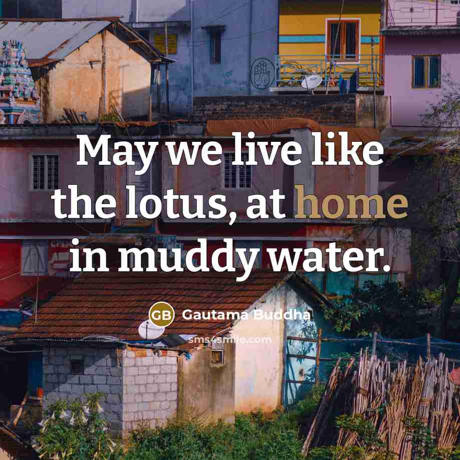 “May we live like the lotus, at home in muddy…” quote by Gautama Buddha