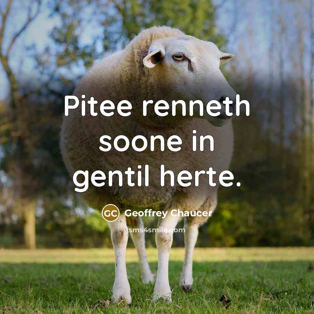 “Pitee renneth soone in gentil herte.” quote by Geoffrey Chaucer