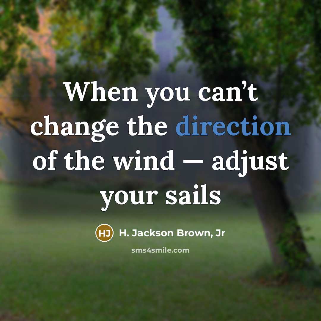 “When you can’t change the direction of the wind —…” quote by H. Jackson Brown, Jr