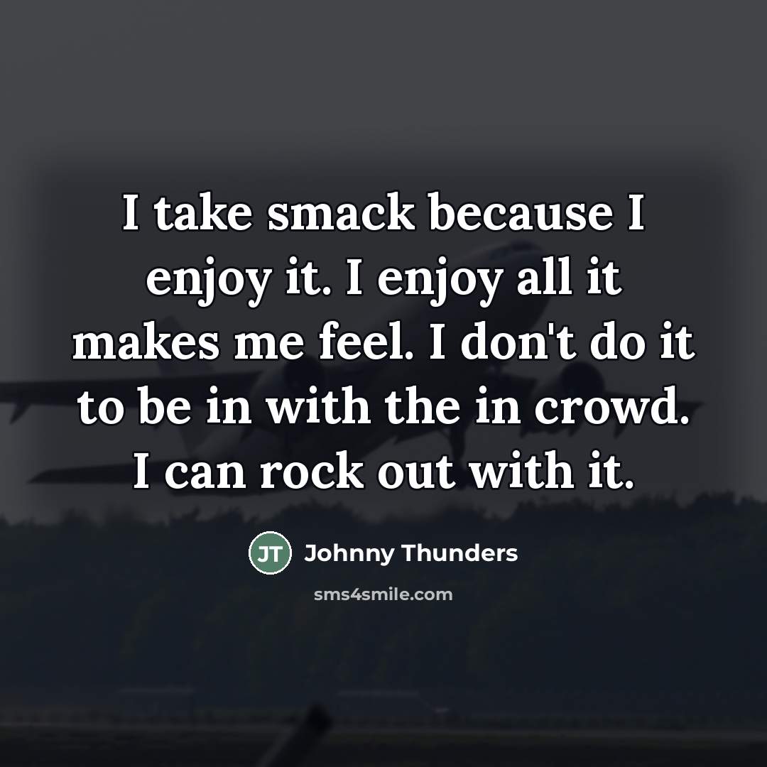 “I take smack because I enjoy it. I enjoy all…” quote by Johnny Thunders