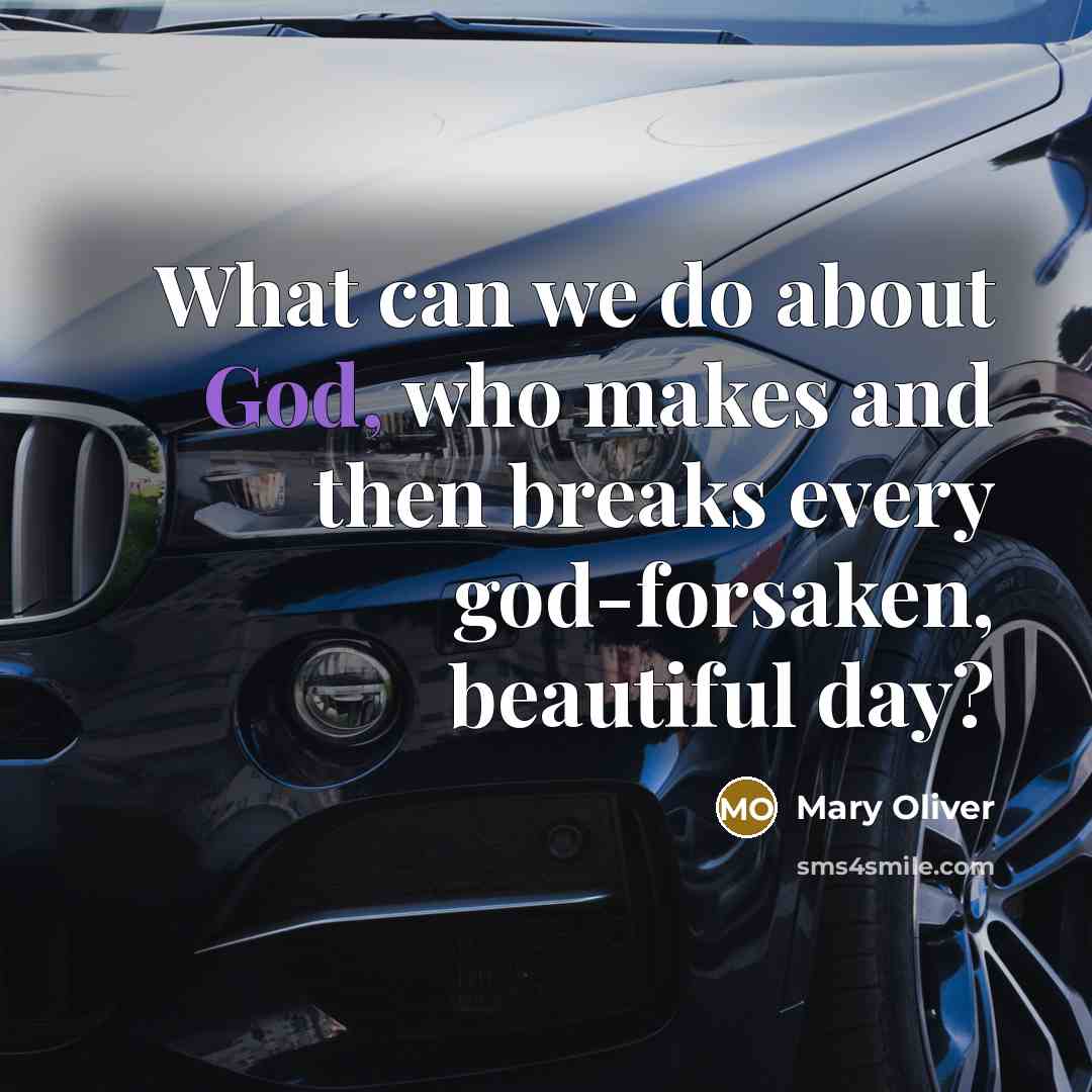 “What can we do about God, who makes and then…” quote by Mary Oliver