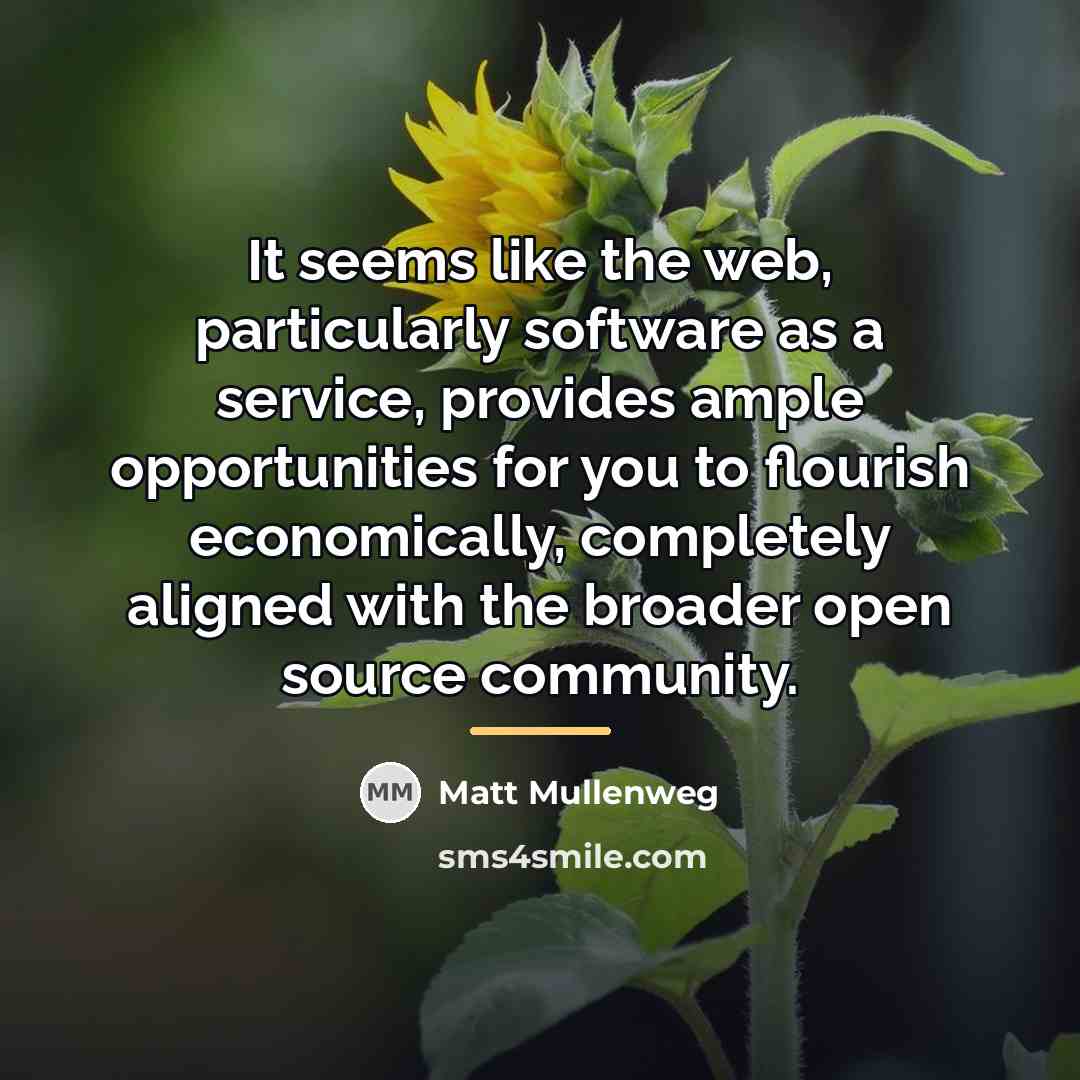 “It seems like the web, particularly software as a service,…” quote by Matt Mullenweg