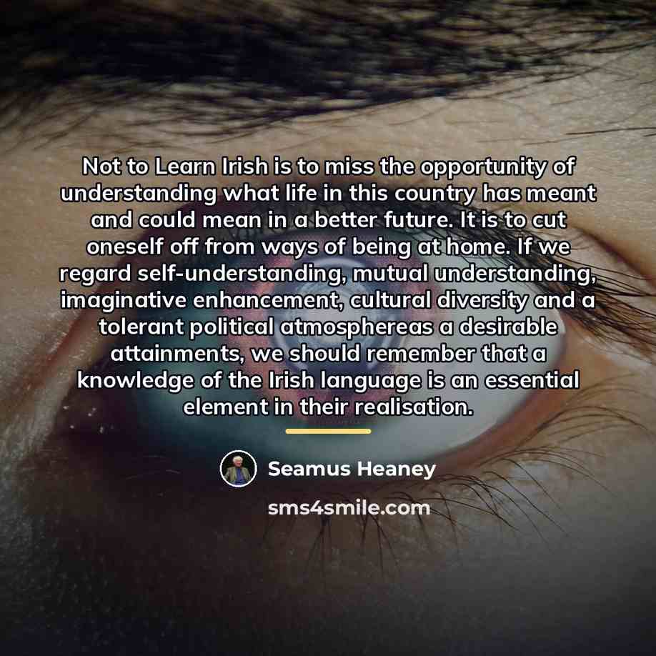 “Not to Learn Irish is to miss the opportunity of…” quote by Seamus Heaney