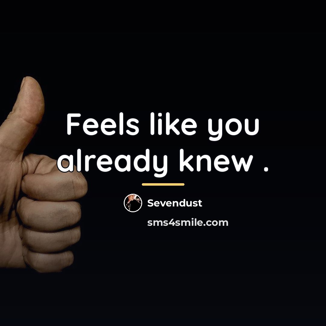“Feels like you already knew .…” quote by Sevendust