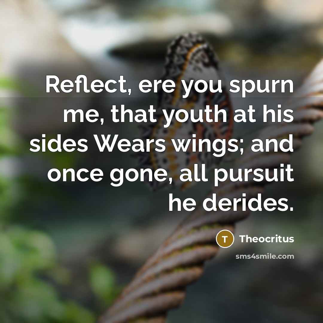 “Reflect, ere you spurn me, that youth at his sides…” quote by Theocritus