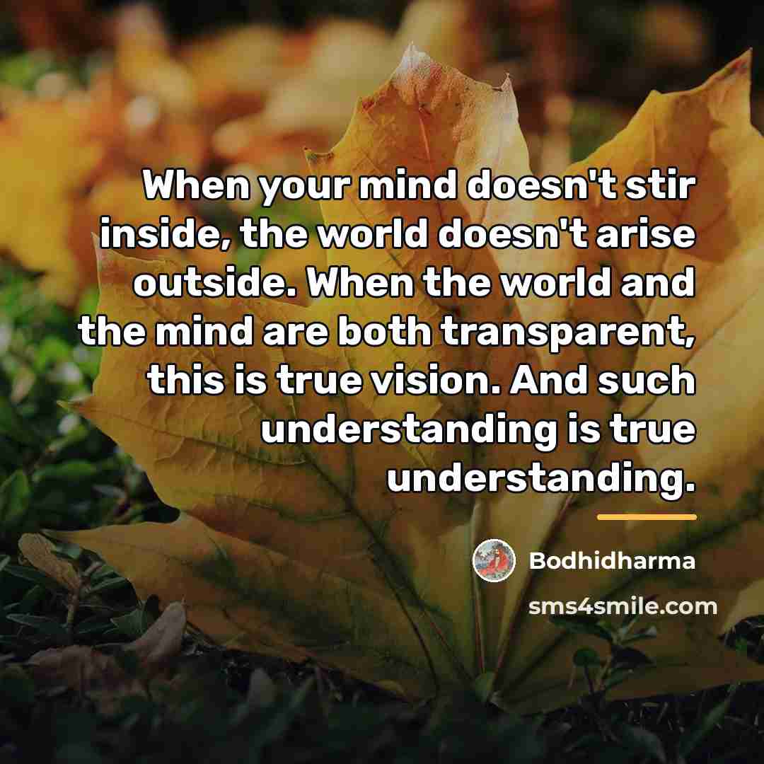 “When your mind doesn't stir inside, the world doesn't arise…” quote by Bodhidharma