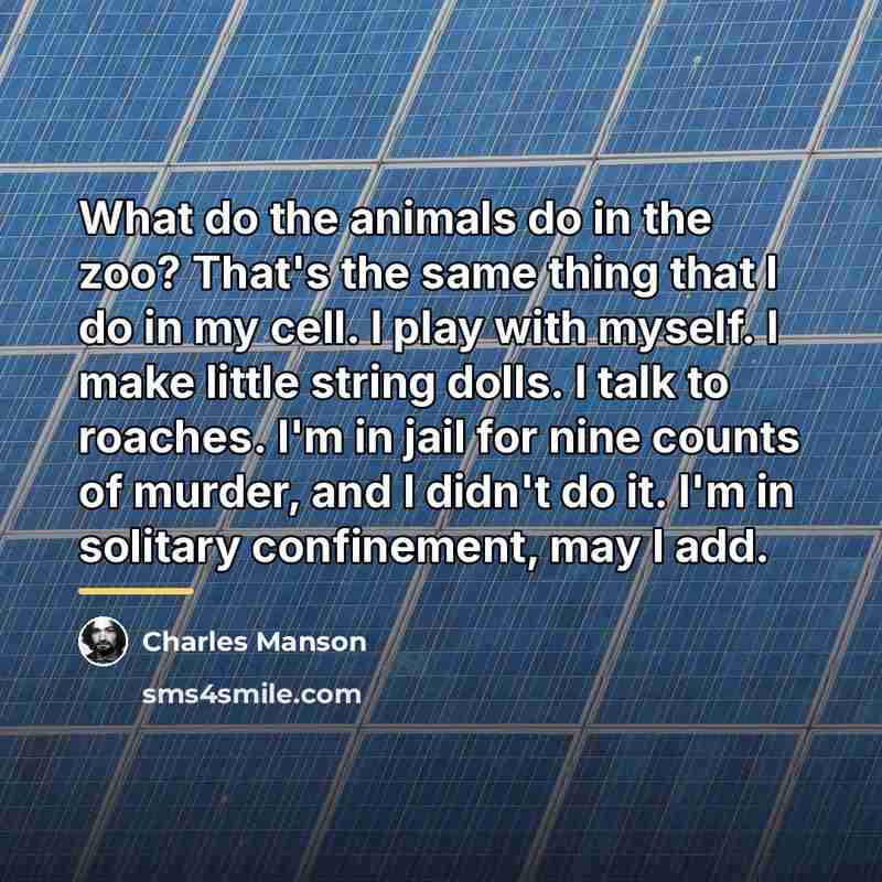 “What do the animals do in the zoo? That's the…” quote by Charles Manson