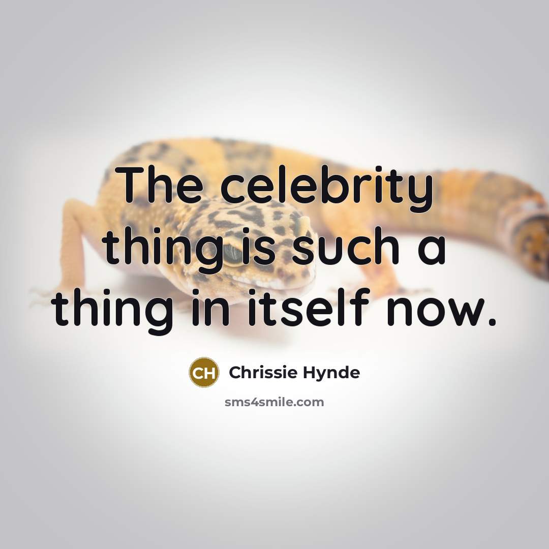 “The celebrity thing is such a thing in itself now.…” quote by Chrissie Hynde