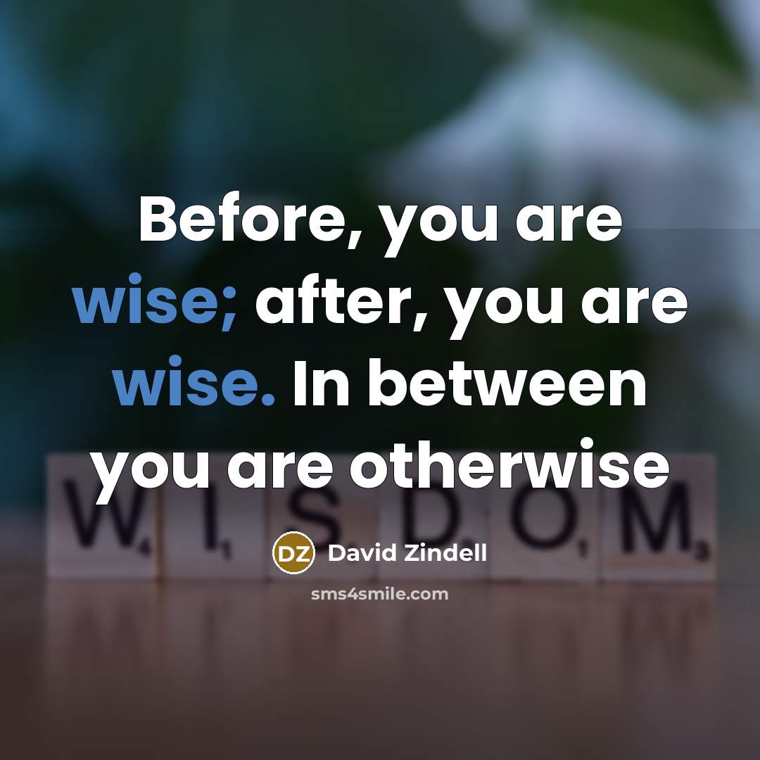 “Before, you are wise; after, you are wise. In between…” quote by David Zindell