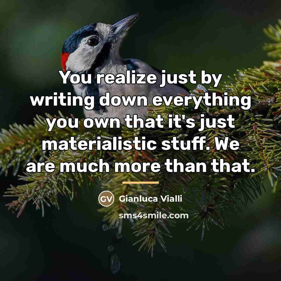 “You realize just by writing down everything you own that…” quote by Gianluca Vialli