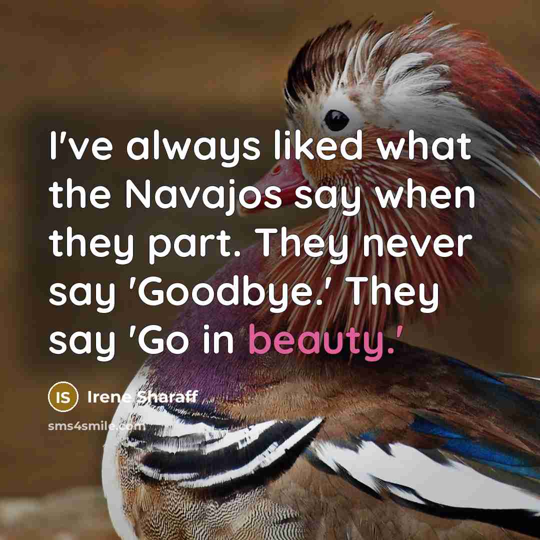 “I've always liked what the Navajos say when they part.…” quote by Irene Sharaff