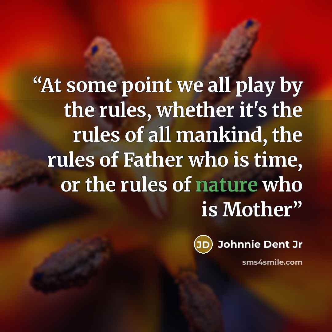 “At some point we all play by the rules, whether it's the rules of all mankind, the rules of Father who is time, or the rules of nature who is Mother” quote by Johnnie Dent Jr