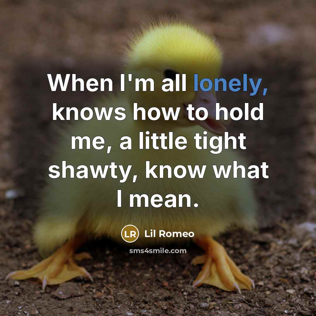 “When I'm all lonely, knows how to hold me, a little tight shawty, know what I mean.” quote by Lil Romeo