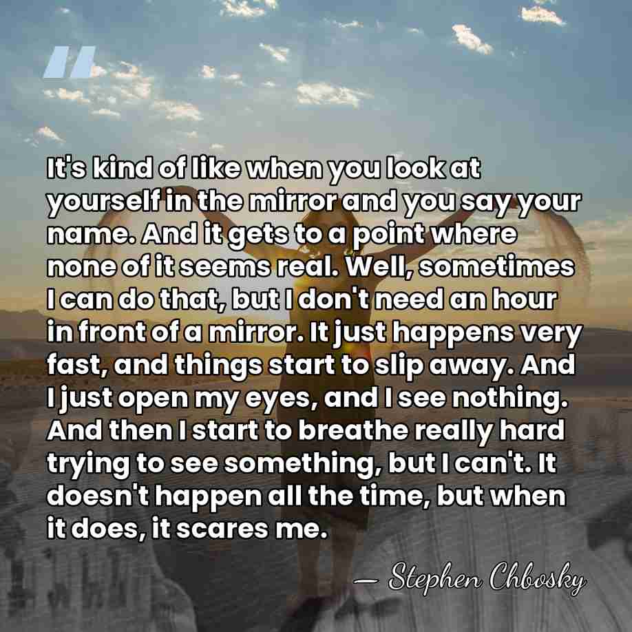 It's kind of like when you look at yourself in the mirror&hellip; - Stephen Chbosky