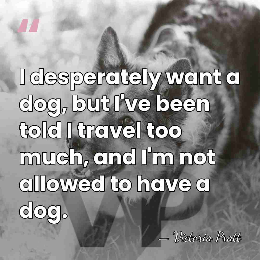 I desperately want a dog, but I've been told I travel too&hellip; - Victoria Pratt