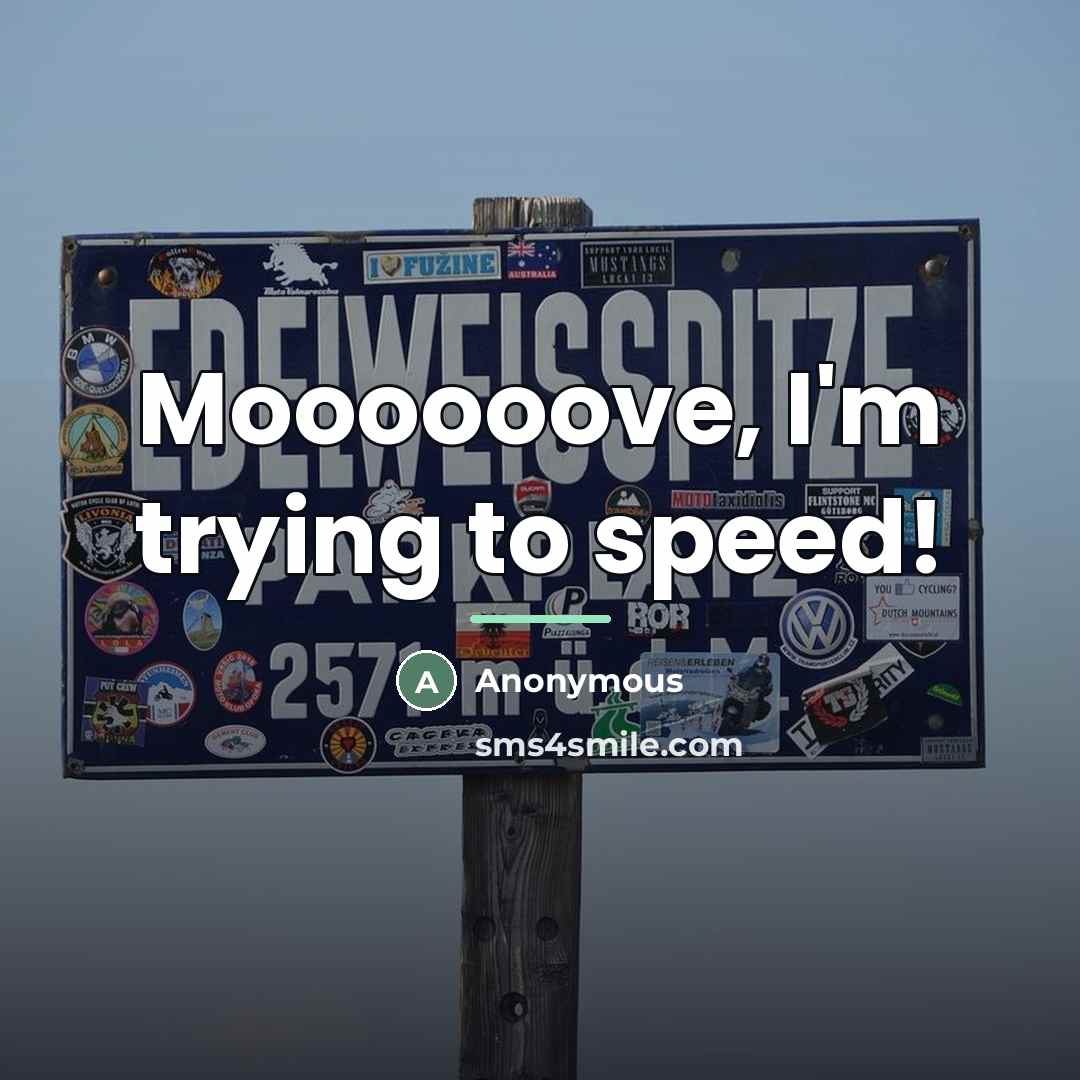 “Moooooove, I'm trying to speed!…” quote by Anonymous