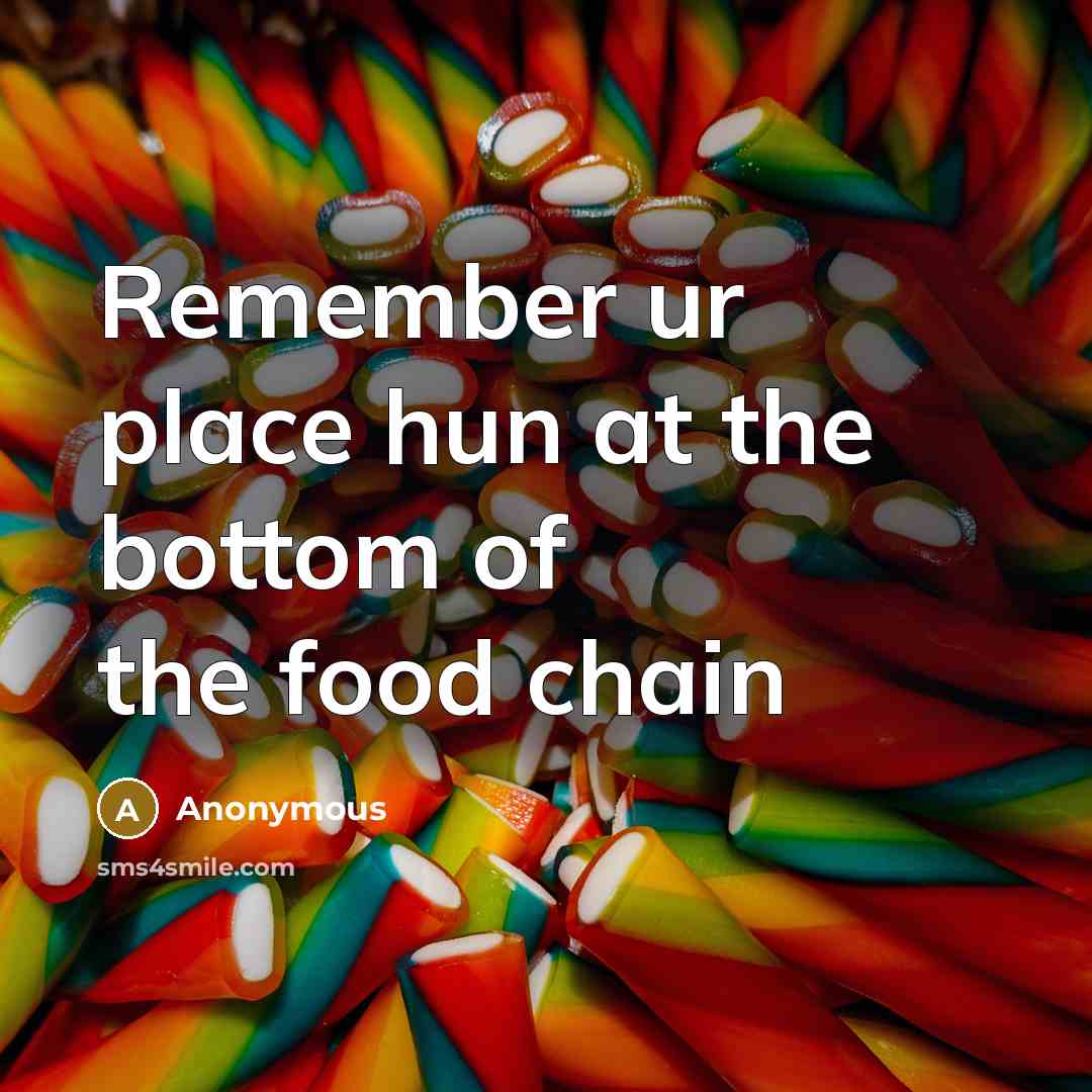 “Remember ur place hun at the bottom of the food…” quote by Anonymous
