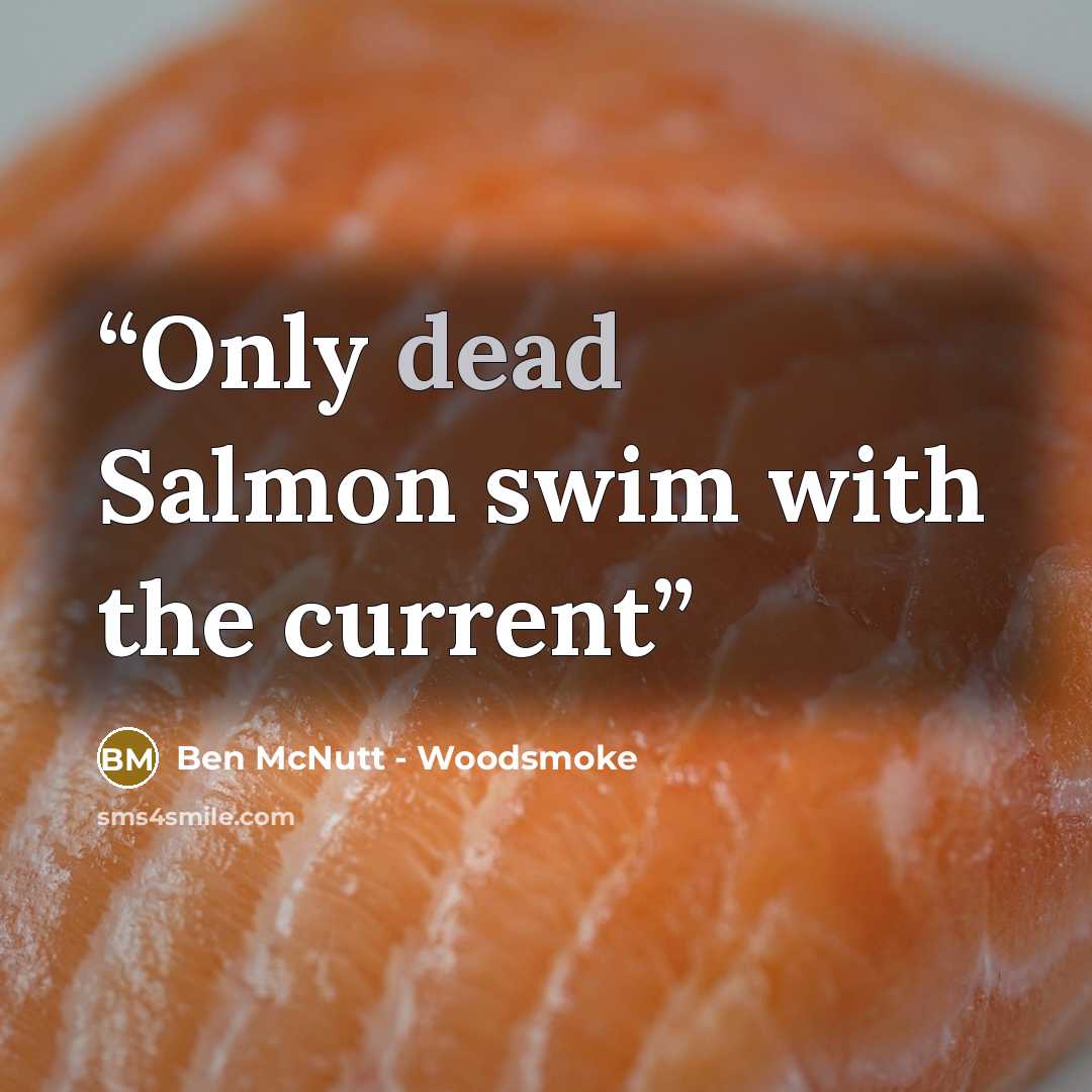 “Only dead Salmon swim with the current” quote by Ben McNutt - Woodsmoke