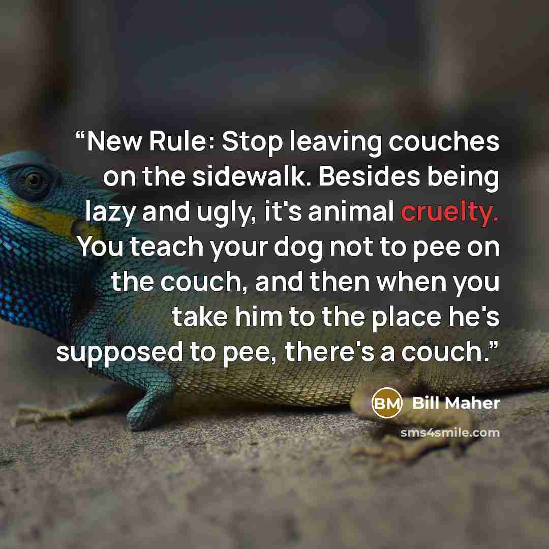 “New Rule: Stop leaving couches on the sidewalk. Besides being lazy and ugly, it's animal cruelty. You teach your dog not to pee on the couch, and then when you take him to the place he's supposed to pee, there's a couch.” quote by Bill Maher