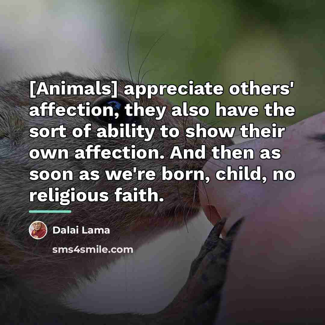 “[Animals] appreciate others' affection, they also have the sort of…” quote by Dalai Lama