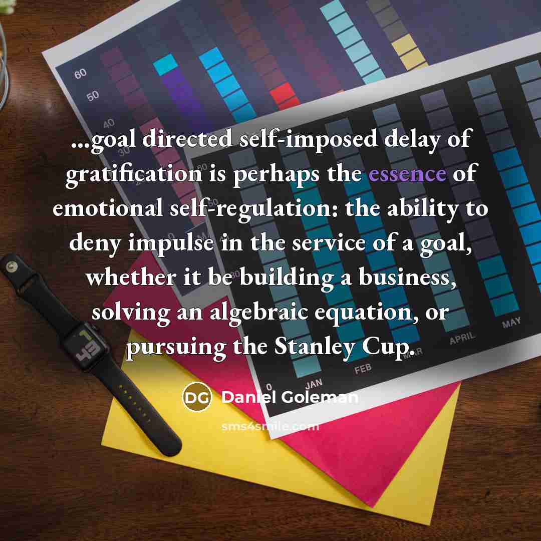 “....goal directed self-imposed delay of gratification is perhaps the essence…” quote by Daniel Goleman