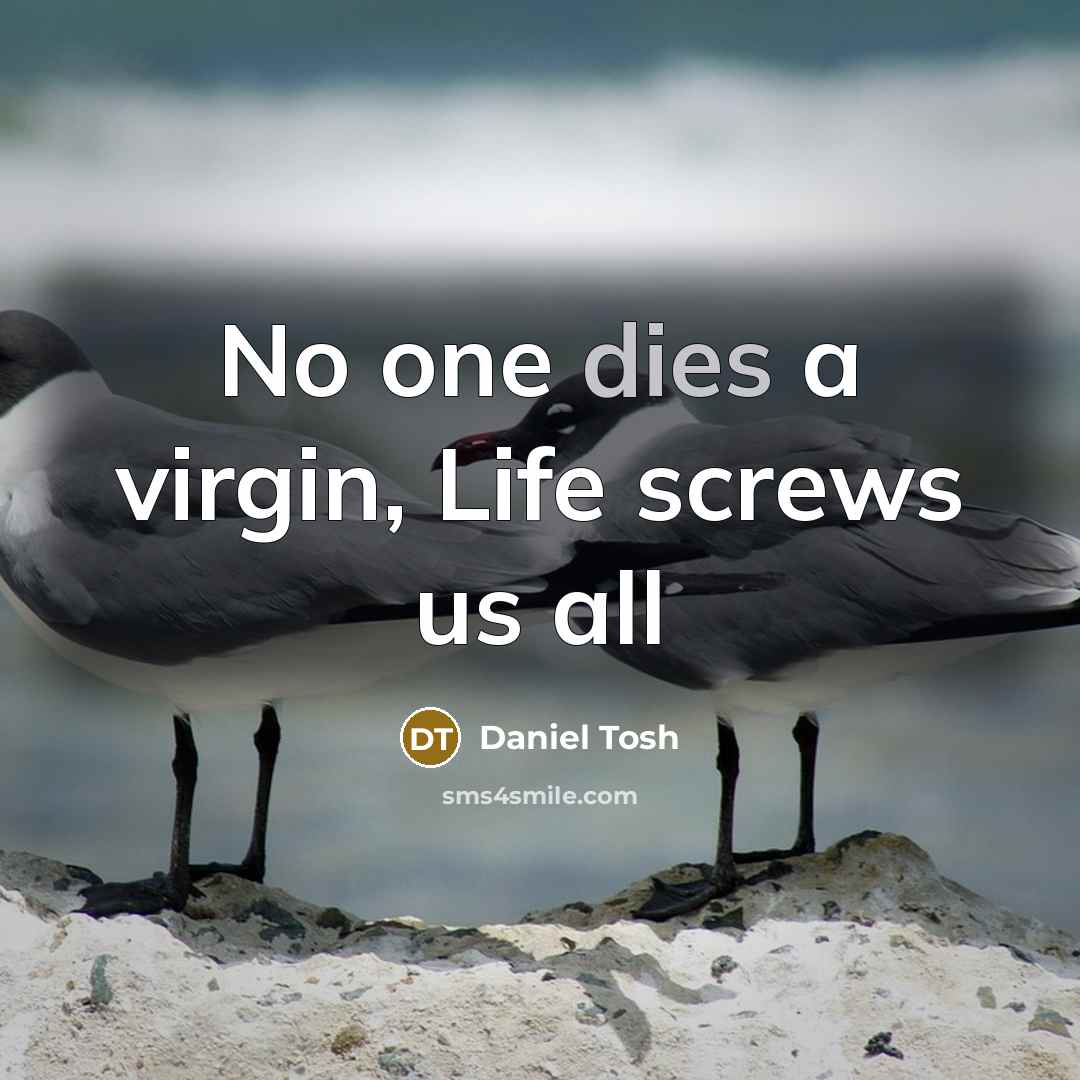 “No one dies a virgin, Life screws us all” quote by Daniel Tosh