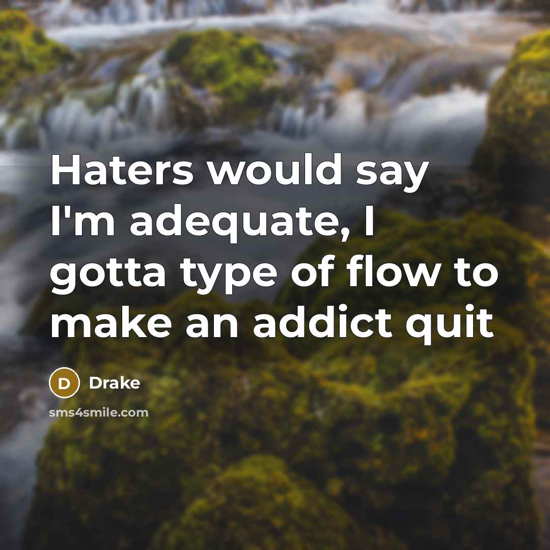 “Haters would say I'm adequate, I gotta type of flow…” quote by Drake