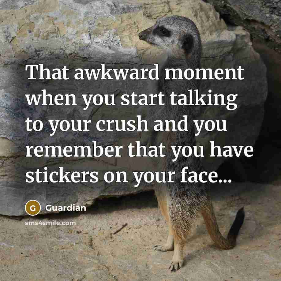 “That awkward moment when you start talking to your crush and you remember that you have stickers on your face...” quote by Guardian