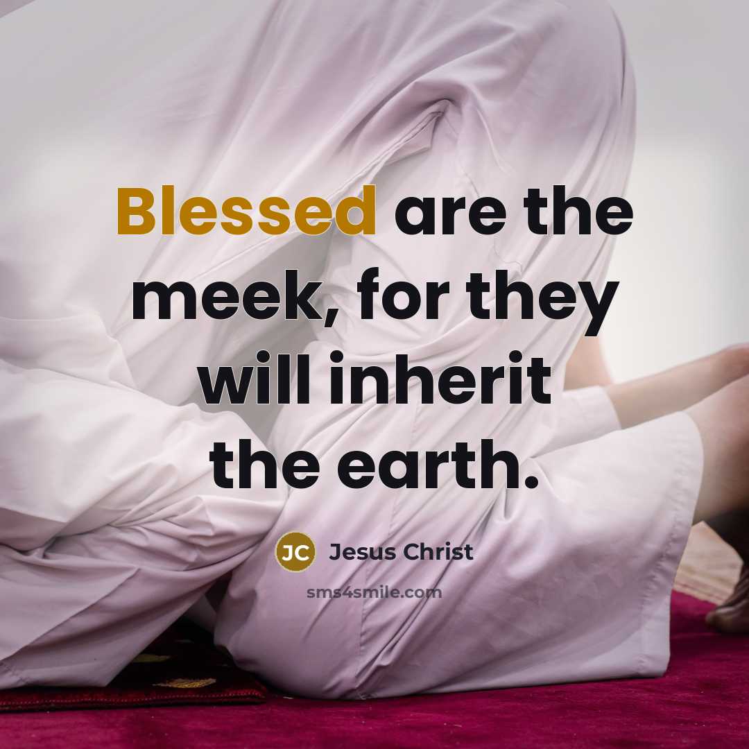 “Blessed are the meek, for they will inherit the earth.…” quote by Jesus Christ